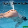 savethewhale