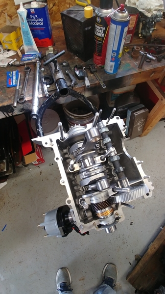 Speedster motor 2019