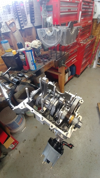Speedster motor 2019-2