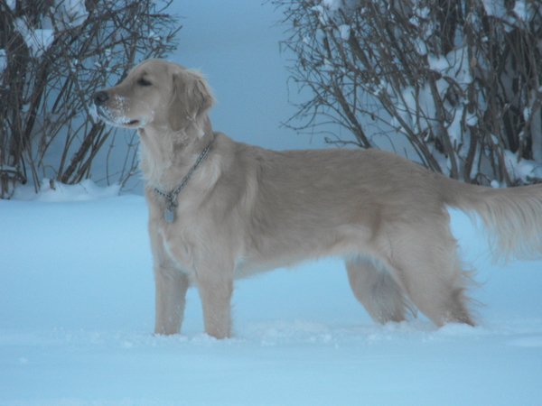 Barney Feb 2019 004