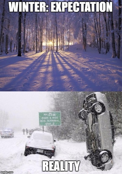 Winter Expectation and Reality