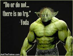 Image result for yoda exercising