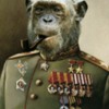 Ape: "beloved by his people, who have no need for elections"