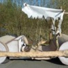 Flintstone car