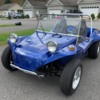 blue buggy ad 1 (2)