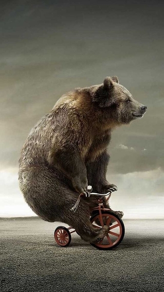 bear on trike