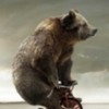 bear on trike